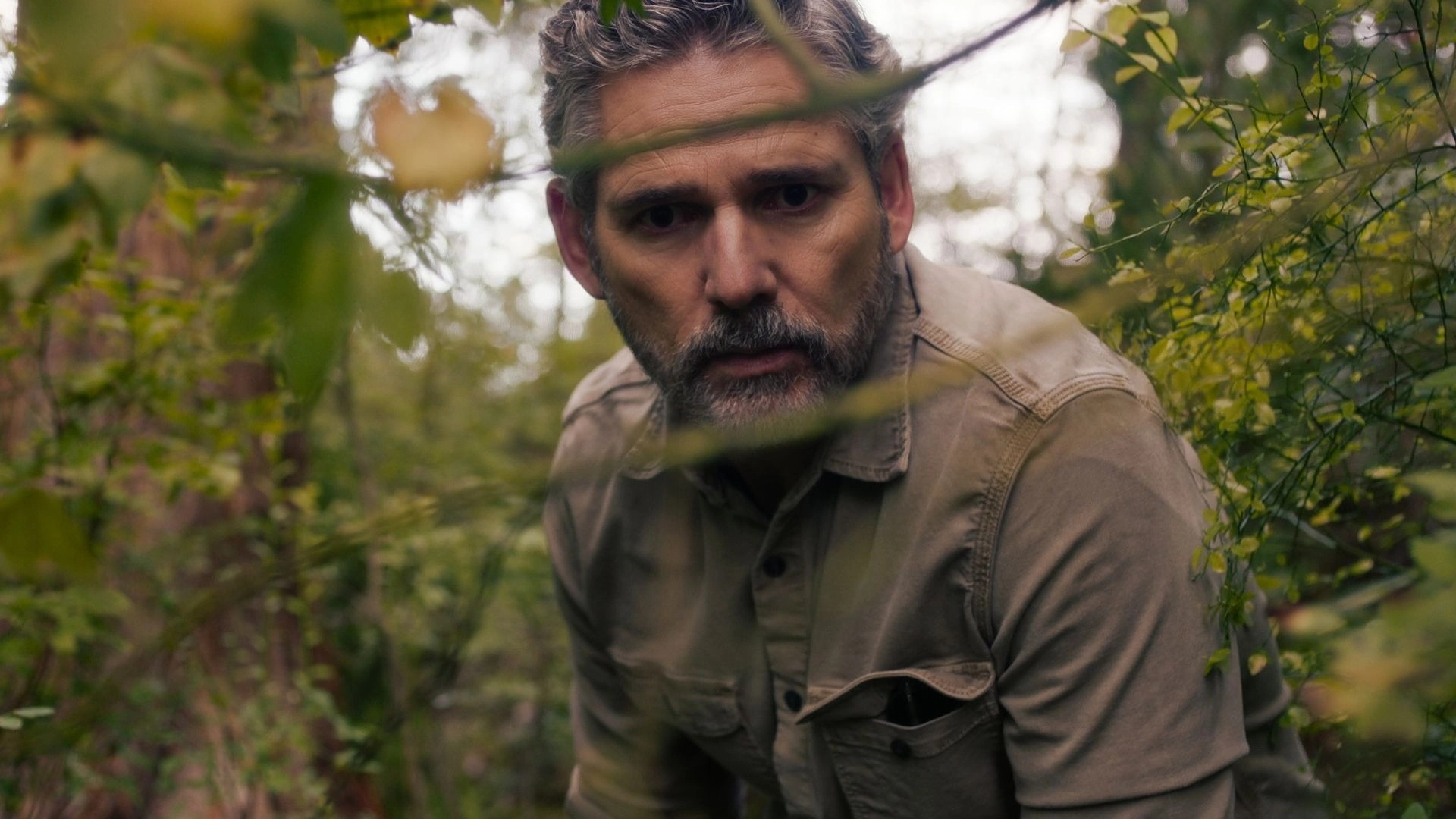 Untamed Mùa 2: Tất Cả Những Gì Chúng Ta Biết Về Sự Trở Lại Của Series Netflix Được Yêu Thích