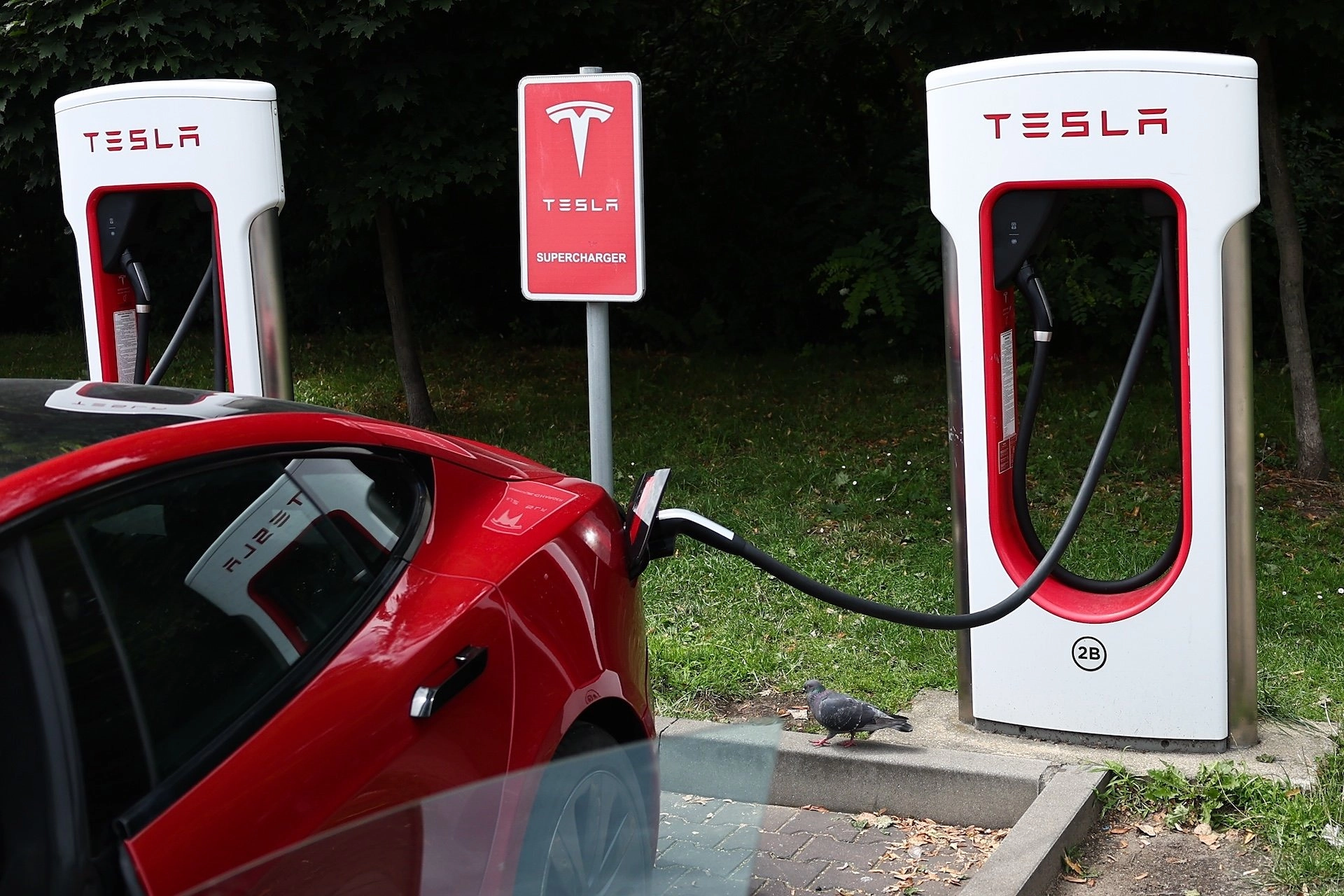 Tesla Tăng Phí Thuê Xe Điện Sau Khi Chính Sách Ưu Đãi Bị Hủy